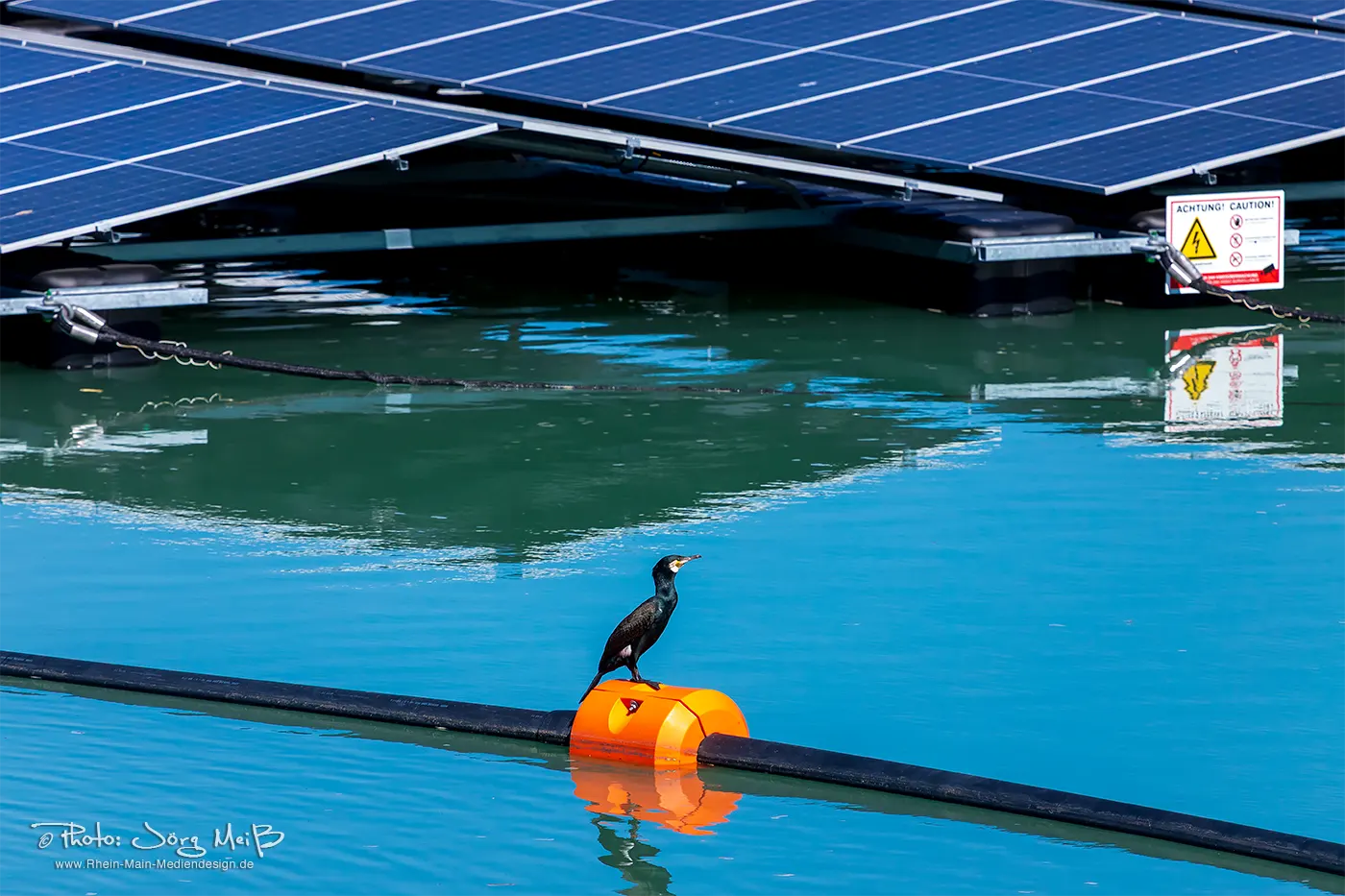 kieswerke-kaspar-weiss-gmbh-rodgau-see-badesee-nieder-roden-schwimmende-solaranlage-jmeiss